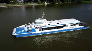 Image result for keltas vilnius