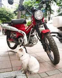 「*MSX全員 賛68」的圖片搜尋結果