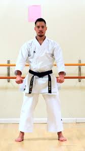 Image result for HEIWA SHOTOKAN KARATE CLUB