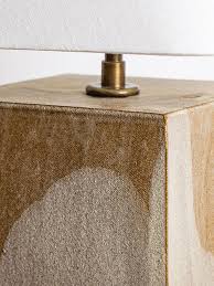 Attēlu rezultāti vaicājumam “Lamproderma debile”