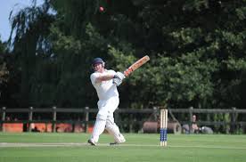 Image result for Hainault & Clayhall Cricket Club