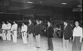 Image result for Independent Wadoryu Karate Federation