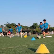 Image result for Predators Fc