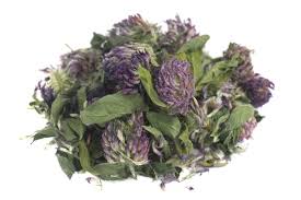 Attēlu rezultāti vaicājumam “Trifolium pratense leaf”