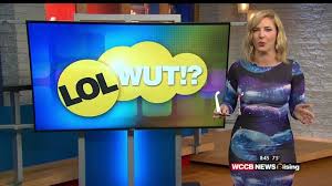 Image result for lol wut