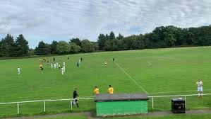 Image result for Woodmansterne Sports Fc