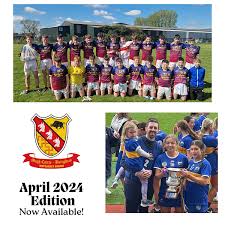 Image result for Moycarkey-Borris Gaa Club