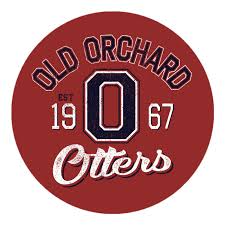 Image result for Cults Otters Amateur Swimming Club