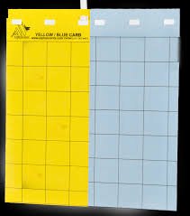 %2a Yellow%Card에 대한 이미지 검색결과