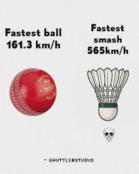 Image result for Torpoint Badminton Club