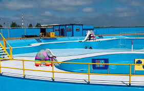 Image result for Gillingham Turbos Swimming Club