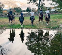 Image result for Palmers Riding Stables