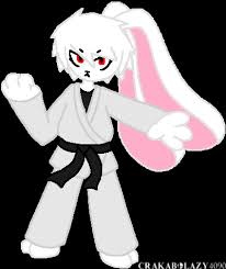 Image result for Ryuko Dojo