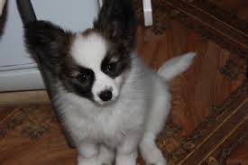 Image result for site:buyreklama.ru/*