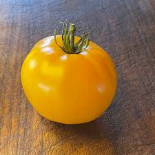 Afbeeldingsresultaat voor amana orange beefsteak tomato