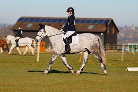 Image result for Abinger Forest Riding Club