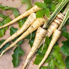 Image result for Pastinake