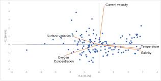 Image result for Vazella pourtalesii