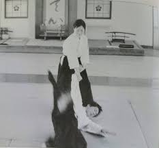 Image result for Kakumei Kan Aikikai (Middlesbrough)