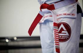 Image result for Derwent Valley Ju-Jitsu Academy