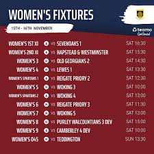 Image result for Godalming In-Line Hockey Club