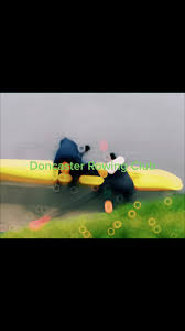 Image result for Doncaster Rowing Club