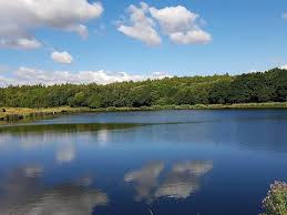 Image result for Wheatley Hill Angling Club