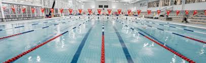 Image result for Launceston Swimming Club, Cornwall