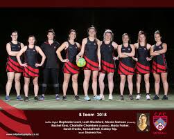 Image result for Christchurch Ladies Netball Club