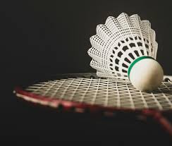 Image result for Hellingly Badminton Club