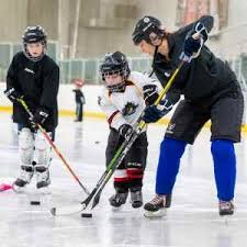 Image result for Pontypool Skater Hockey Club