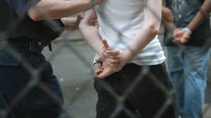 Image result for "Peter Truong" Mark Newton