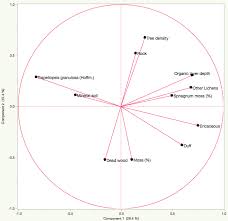 Attēlu rezultāti vaicājumam “Trapeliopsis granulosa”