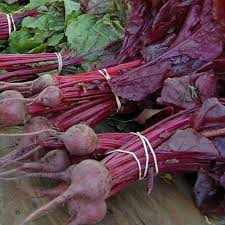 Image result for Beta vulgaris