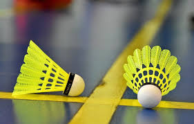 Image result for Talbot/Littledown Community Badminton Club