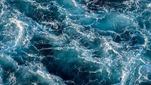 Image result for TRIANGLE CHANGQUAN FLYING DRAGON