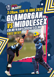 Image result for Colwyn Bay Cc