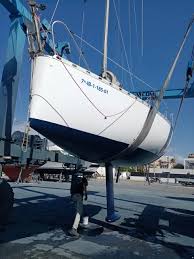 Image result for Pogo minitransat