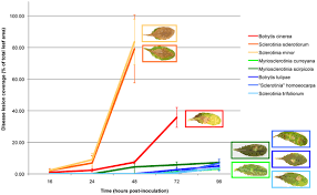 Attēlu rezultāti vaicājumam “Myriosclerotinia scirpicola”