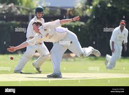 Image result for Hadleigh & Thundersley Cricket Club
