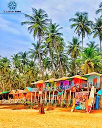 Image result for goa beaches