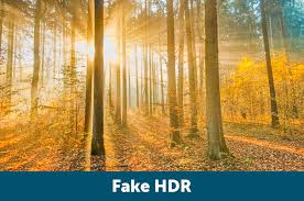 Image result for bad hdr