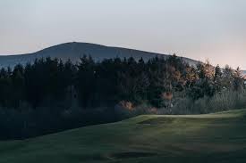 Image result for Carnwath Golf Club