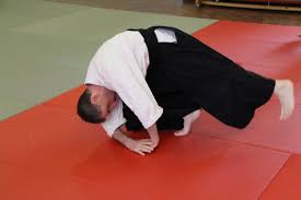 Image result for Bracknell Aikido Club