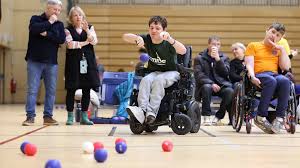 Image result for North Wales Boccia