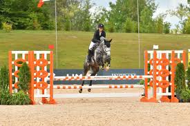 Image result for Fisher Equestrian