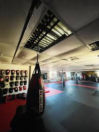 Image result for S J T B Thai Boxing Gym