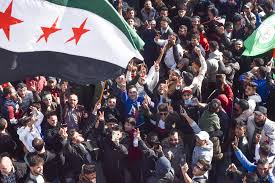 Attēlu rezultāti vaicājumam “Capsus ater imago”