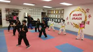 Image result for Hidden Dragon Karate-Do