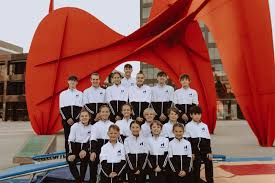 Image result for White Rose Trampoline Academy